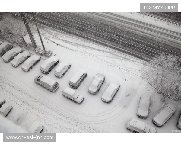 天气因素：克莱蒙主场大雪，场地条件严重影响两队技术发挥与传球效率。